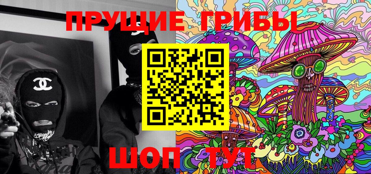 Галлюциногенные грибы Psilocybe Черняховск